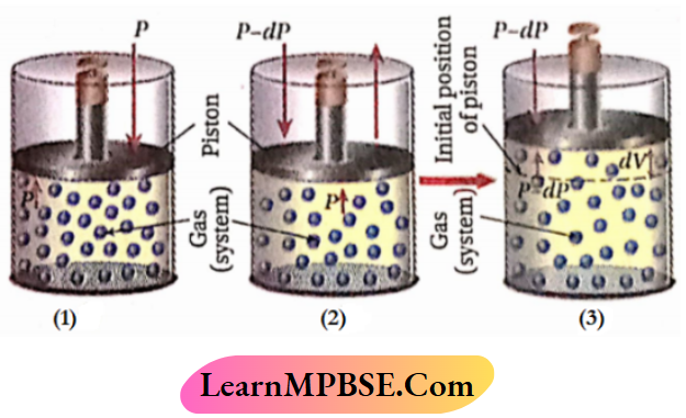 MPBSE Class 11 Chemistry Notes For Thermodynamics Reversible Expansion Of A Gas