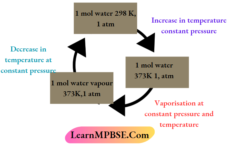 MPBSE Class 11 Chemistry Notes For Thermodynamics The Changes In States Functions Are Zero In A Cyclic Process