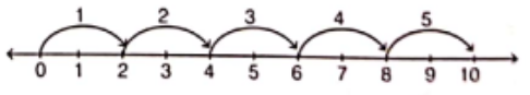 Class 6 Maths Chapter 2 Whole Numbers 2 x 5