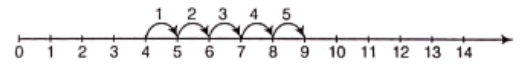 Class 6 Maths Chapter 2 Whole Numbers 4 + 5