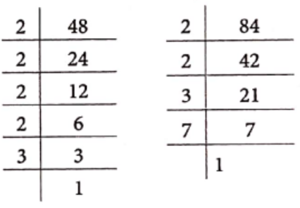 Class 6 Maths Chapter 3 Playing With Numbers Example 3