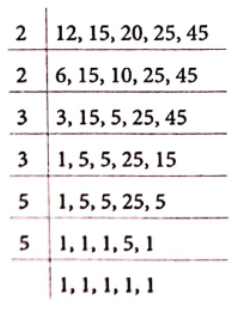 Class 6 Maths Chapter 3 Playing With Numbers LCM 13