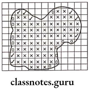 Class 6 Maths Chapter 10 Mensuration Area of Closed Figures Example 1