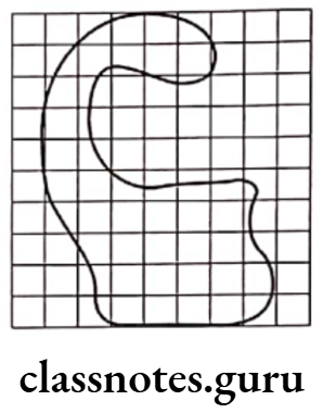 Class 6 Maths Chapter 10 Mensuration Area of Closed Figures Example 3