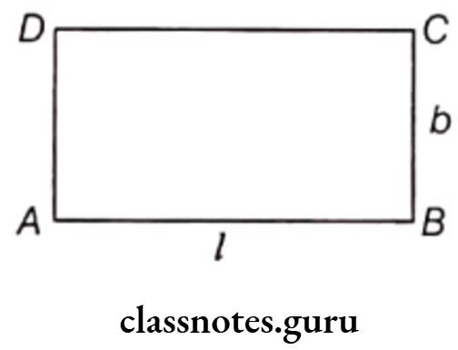 Class 6 Maths Chapter 10 Mensuration Area of a Rectangle and Square