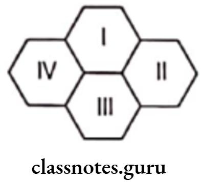 Class 6 Maths Chapter 10 Mensuration Long Answer Type Question 5.1