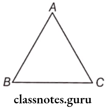 Class 6 Maths Chapter 10 Mensuration Perimeter of an Equilateral Triangle