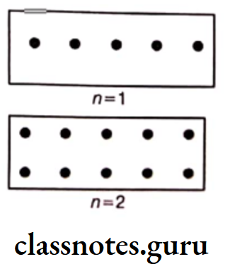 Class 6 Maths Chapter 11 Algebra Exercise 11.1 Question 3