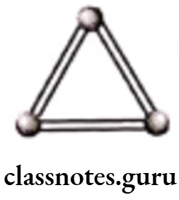Class 6 Maths Chapter 11 Algebra Very Short Answer Type Question 4