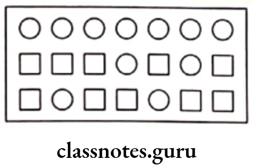 Class 6 Maths Chapter 12 Ratio And Proportion Multiple Choice Question 10