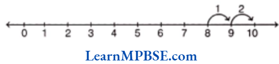 Class 6 Maths Chapter 2 Whole Numbers 8-2