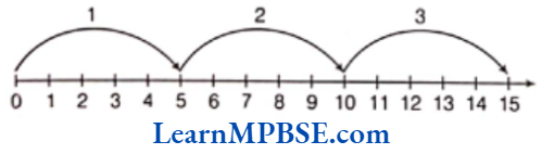 Class 6 Maths Chapter 2 Whole-Numbers-Multiplication on the Number Line