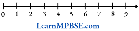 Class 6 Maths Chapter 2 Whole Numbers Two Whole Numbers