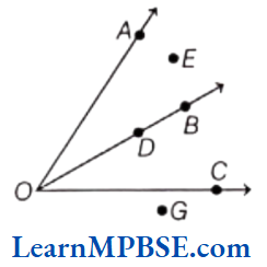 Class-6-Maths-Chapter-4-Basic-Geometrical-Ideas-Angles-Example-11