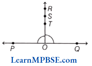 Class-6-Maths-Chapter-4-Basic-Geometrical-Ideas-Angles-Example-4.3