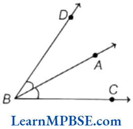 Class-6-Maths-Chapter-4-Basic-Geometrical-Ideas-Angles-Example-5