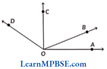Class-6-Maths-Chapter-4-Basic-Geometrical-Ideas-Angles-Example-7