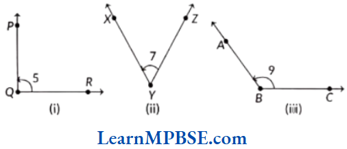 Class-6-Maths-Chapter-4-Basic-Geometrical-Ideas-Angles-Example-9
