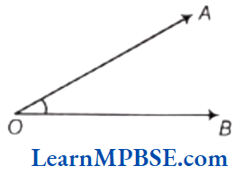 Class-6-Maths-Chapter-4-Basic-Geometrical-Ideas-Angles