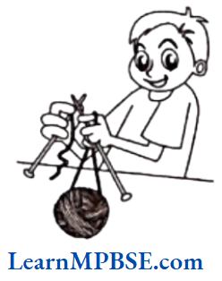 Class-6-Maths-Chapter-4-Basic-Geometrical-Ideas-Case-Based-Questions-Question-1