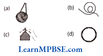 Class-6-Maths-Chapter-4-Basic-Geometrical-Ideas-Case-Based-Questions-Question-3