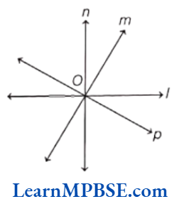 Class-6-Maths-Chapter-4-Basic-Geometrical-Ideas-Case-Based-Questions-Question-4.1