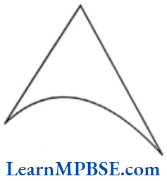 Class-6-Maths-Chapter-4-Basic-Geometrical-Ideas-Case-Based-Questions-Question-4
