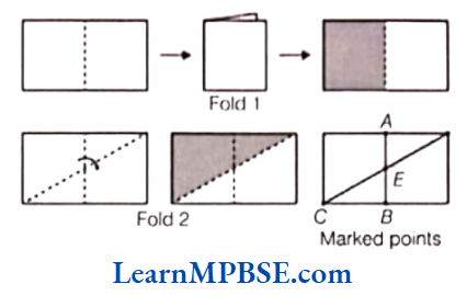 Class-6-Maths-Chapter-4-Basic-Geometrical-Ideas-Case-Based-Questions-Question-5