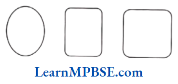 Class-6-Maths-Chapter-4-Basic-Geometrical-Ideas-Closed-Curve