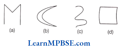 Class-6-Maths-Chapter-4-Basic-Geometrical-Ideas-Curve-Example-1