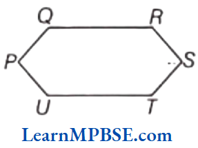 Class-6-Maths-Chapter-4-Basic-Geometrical-Ideas-Curve-Example-7