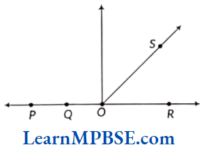 Class-6-Maths-Chapter-4-Basic-Geometrical-Ideas-Example-10
