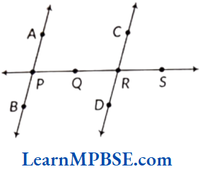 Class-6-Maths-Chapter-4-Basic-Geometrical-Ideas-Example-11