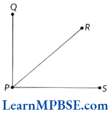 Class-6-Maths-Chapter-4-Basic-Geometrical-Ideas-Example-3