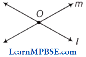Class-6-Maths-Chapter-4-Basic-Geometrical-Ideas-Example-5.1
