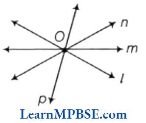 Class-6-Maths-Chapter-4-Basic-Geometrical-Ideas-Example-5.2