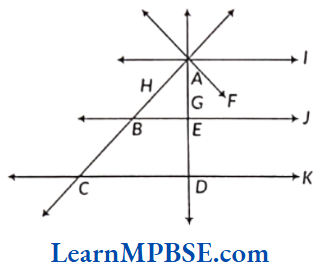 Class-6-Maths-Chapter-4-Basic-Geometrical-Ideas-Example-6