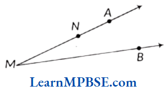 Class-6-Maths-Chapter-4-Basic-Geometrical-Ideas-Example-8