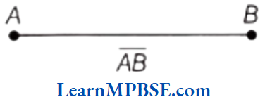 Class-6-Maths-Chapter-4-Basic-Geometrical-Ideas-Line-Segment