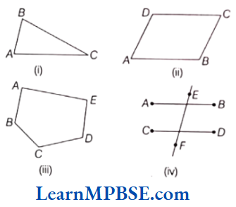 Class-6-Maths-Chapter-4-Basic-Geometrical-Ideas-Long-Answer-Question-1