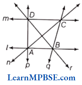 Class-6-Maths-Chapter-4-Basic-Geometrical-Ideas-Long-Answer-Question-2