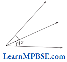 Class-6-Maths-Chapter-4-Basic-Geometrical-Ideas-Long-Answer-Question-5