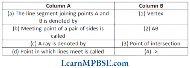 Class-6-Maths-Chapter-4-Basic-Geometrical-Ideas-Match-the-Column