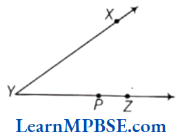 Class-6-Maths-Chapter-4-Basic-Geometrical-Ideas-Multiple-Question-14