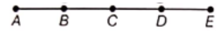 Class-6-Maths-Chapter-4-Basic-Geometrical-Ideas-Multiple-Question-2
