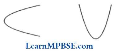 Class-6-Maths-Chapter-4-Basic-Geometrical-Ideas-Open-Curve