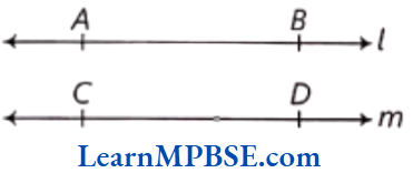 Class-6-Maths-Chapter-4-Basic-Geometrical-Ideas-Parallel-Lines