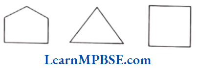 Class-6-Maths-Chapter-4-Basic-Geometrical-Ideas-Polygon