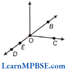 Class-6-Maths-Chapter-4-Basic-Geometrical-Ideas-Question-1.1