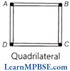 Class-6-Maths-Chapter-4-Basic-Geometrical-Ideas-Question-1.3